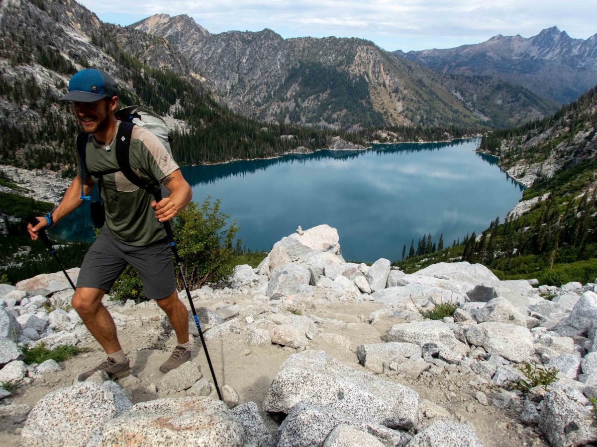 Black Diamond Carbon Z Trekking poles Engearment