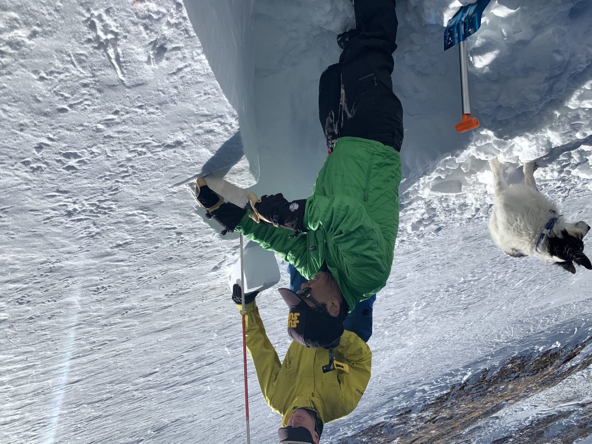 Early winter snowpack. Looking for clues